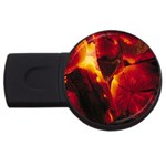 SD062 USB Flash Drive Round (2 GB)