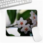 Hoya Large Mousepad
