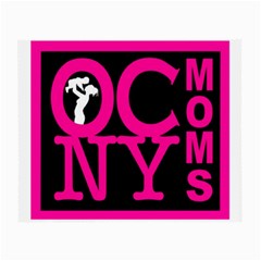 OCNYMOMS LOGO Small Glasses Cloth (2 Back