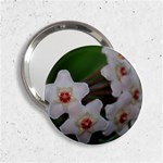 Hoya 2.25  Handbag Mirror