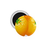 orange 1.75  Magnet