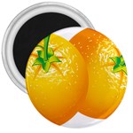 orange 3  Magnet