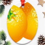 orange Ornament (Oval)