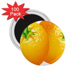 orange 2.25  Magnet (100 pack) 