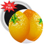 orange 3  Magnet (10 pack)