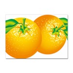 orange Sticker A4 (100 pack)