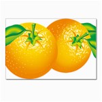 orange Postcard 4 x 6  (Pkg of 10)