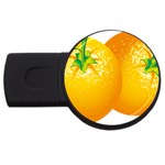 orange USB Flash Drive Round (2 GB)
