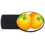 orange USB Flash Drive Oval (2 GB)