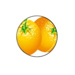 orange Hat Clip Ball Marker