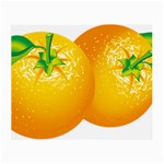 orange Glasses Cloth