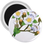 flower038 3  Magnet