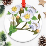 flower038 Ornament (Round)