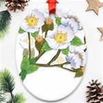 flower038 Ornament (Oval)