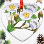 flower038 Ornament (Heart)