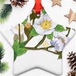 flower038 Ornament (Star)