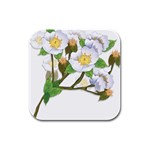 flower038 Rubber Square Coaster (4 pack)