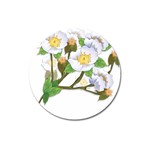 flower038 Magnet 3  (Round)