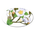 flower038 Magnet (Oval)