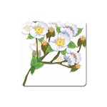 flower038 Magnet (Square)