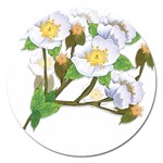 flower038 Magnet 5  (Round)