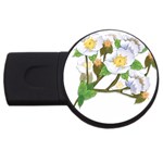flower038 USB Flash Drive Round (2 GB)