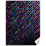 Polka Dot Sparkley Jewels 2 Canvas 12  x 16  