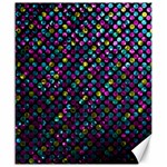 Polka Dot Sparkley Jewels 2 Canvas 20  x 24  