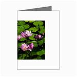 Water lilies Mini Greeting Cards (Pkg of 8)