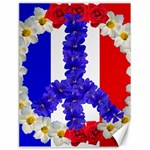 Peace sign paris france Canvas 18  x 24 