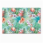 Image Postcards 5  x 7  (Pkg of 10)