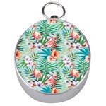 Image Silver Compass