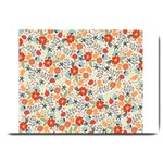 1 (13) Large Doormat