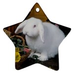 White Bunny Ornament (Star)
