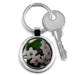 Hoya Key Chain (Round)
