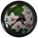 Hoya Wall Clock (Black)