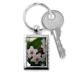 Hoya Key Chain (Rectangle)