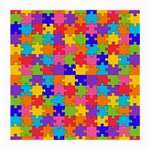 Autism Jigsaw Puzzle Medium Glasses Cloth