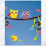 Animal Bird Cartoon Canvas 16  x 20 