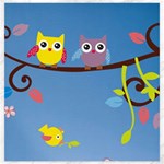 Animal Bird Cartoon Canvas 20  x 20 
