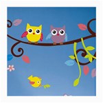 Animal Bird Cartoon Medium Glasses Cloth