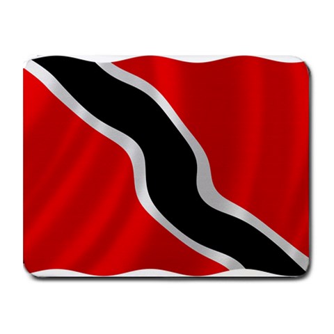 Trinidad Small Mousepad from ArtsNow.com Front