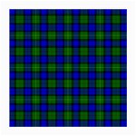 Farquharson Tartan Medium Glasses Cloth