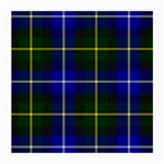 MacNeil of Barra Tartan Medium Glasses Cloth (2 Sides)
