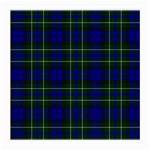 MacNeil of Colonsay Tartan Medium Glasses Cloth (2 Sides)