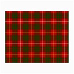 Bruce Tartan Small Glasses Cloth (2 Sides)