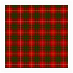 Bruce Tartan Medium Glasses Cloth (2 Sides)