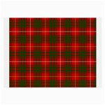 Bruce Tartan Large Glasses Cloth