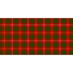 Bruce Tartan YOU ARE INVITED 3D Greeting Card (8x4)