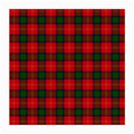 Chisholm Tartan Medium Glasses Cloth
